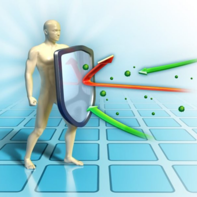 7 Lợi Ích Của Việc Tập Luyện Thể Thao Thường Xuyên 9 Tăng cường sức khỏe tim mạch (1)