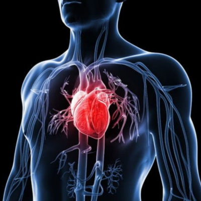 7 Lợi Ích Của Việc Tập Luyện Thể Thao Thường Xuyên 8 Tăng cường sức khỏe tim mạch